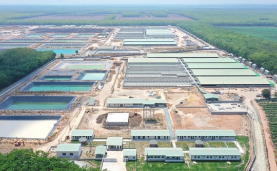 BAF Việt Nam (BAF): Kỳ vọng lãi năm nay tăng gấp 8 lần, sắp khơi công “siêu” dự án 12.000 tỷ