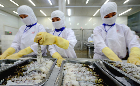 Bất chấp các khó khăn, Thực phẩm Sao Ta (FMC) kỳ vọng lãi năm nay cao kỷ lục