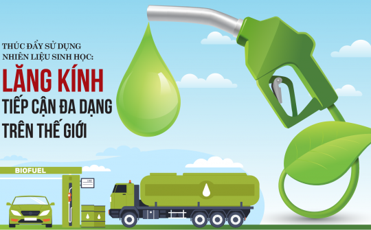 Thúc đẩy sử dụng nhiên liệu sinh học: Lăng kính tiếp cận đa dạng trên thế giới