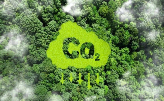 Quy định về trao đổi, chuyển giao kết quả giảm nhẹ phát thải khí nhà kính và tín chỉ các-bon áp dụng từ 19/5