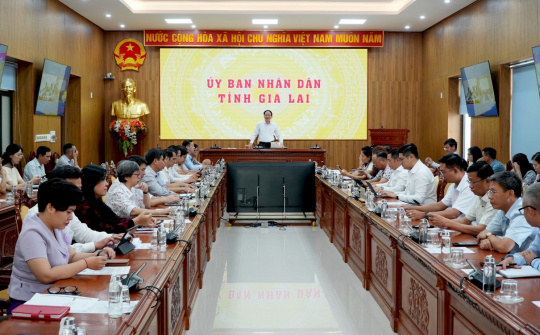 Gia Lai: Đồng hành, thúc đẩy doanh nghiệp tiên phong phát triển