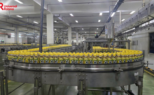 URC Việt Nam: Từ lá trà nội địa đến chuỗi giá trị bền vững