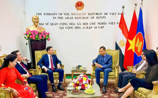 Những bước đi chủ động, chiến lược của Vinachem tại thị trường Ai Cập