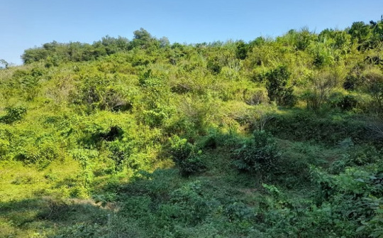 Gỡ nút thắt chi trả dịch vụ môi trường rừng ở Điện Biên