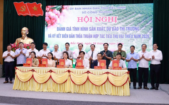 Bắc Ninh tăng tốc tiêu thụ vải thiều 2026, mở rộng xuất khẩu và phát triển du lịch trải nghiệm