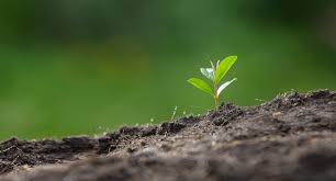 Nâng cao chất lượng dịch vụ khách hàng tại Công ty TNHH Sản xuất Thương mại Fuji Paper