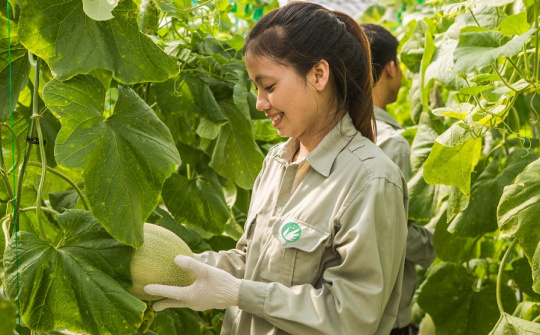 Đẩy mạnh chuyển đổi sản xuất nông nghiệp hàng hóa, phát triển nông nghiệp sinh thái, hiệu quả, bền vững