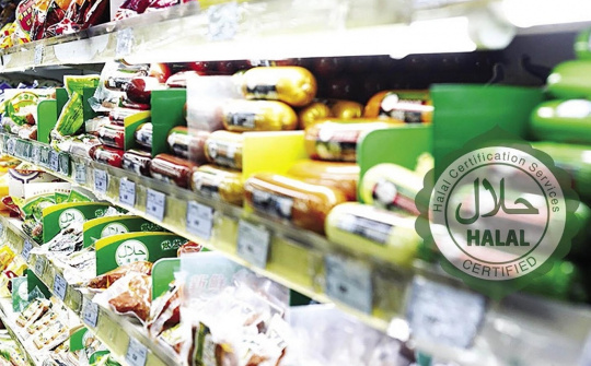 Khuyến khích, hỗ trợ đầu tư, sản xuất, kinh doanh sản phẩm, dịch vụ Halal