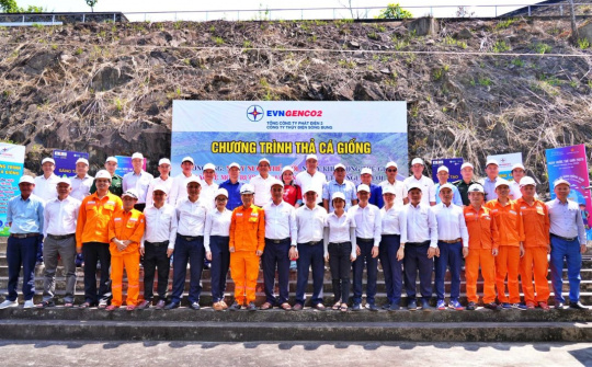 Thả cá, tái tạo nguồn lợi thủy sản tại hồ Thuỷ điện Sông Bung 4