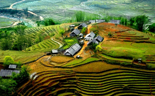 Lập BCĐ Trung ương Chương trình MTQG xây dựng nông thôn mới, giảm nghèo bền vững và phát triển KTXH vùng DTTS&MN giai đoạn 2026-2030