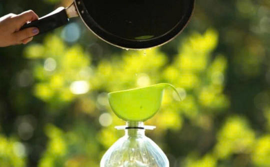 Tối ưu hóa phản ứng transester hóa dầu ăn thải để sản xuất biodiesel
