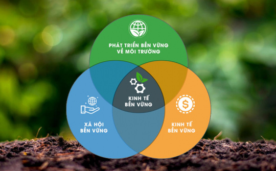 Phát triển thương mại bền vững trong bối cảnh kinh tế xanh và tiêu dùng có trách nhiệm