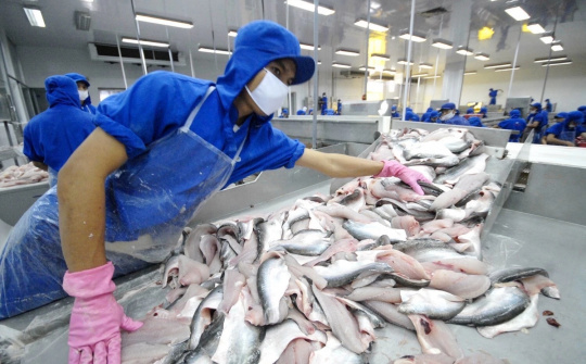 Thủy sản Vĩnh Hoàn (VHC): Cá tra Việt rộng cửa tại châu Âu, mục tiêu lãi 1.600 tỷ năm 2026