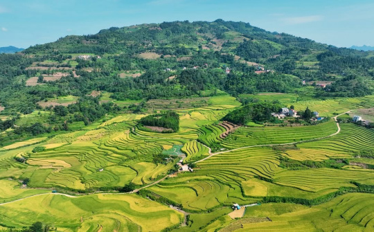 Quy chế hoạt động của BCĐ Trung ương Chương trình MTQG xây dựng nông thôn mới, giảm nghèo bền vững và phát triển KTXH vùng DTTS&MN