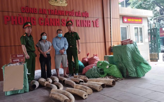 Hà Nội: Phá đường dây buôn lậu ngà voi, lộ kho thuốc lá lậu khủng