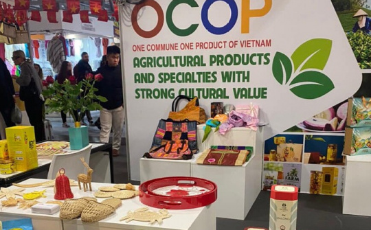 Tiêu chí đánh giá, phân hạng sản phẩm OCOP