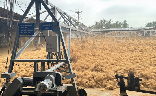 Khuyến công quốc gia: Đề án điểm cú hích cho chuỗi giá trị dừa Vĩnh Long