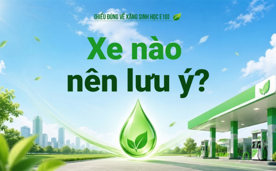 [Hiểu đúng về xăng E10] Xe nào nên lưu ý?