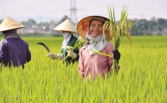 Giai cấp nông dân lực lượng quan trọng trong sự nghiệp cách mạng Việt Nam