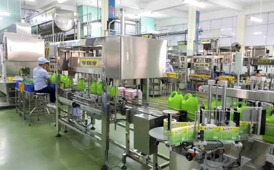 Thực trạng và giải pháp phát triển bền vững của các doanh nghiệp ngành Hóa chất Việt Nam