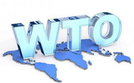 Trợ cấp xanh trong WTO và khuyến nghị cho Việt Nam