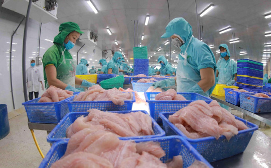 Nâng cao năng lực phòng vệ thương mại cho nông sản Việt Nam trong bối cảnh bảo hộ gia tăng