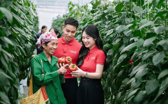 Các yếu tố ảnh hưởng đến khả năng tiếp cận tín dụng của các hộ sản xuất nông lâm nghiệp tại Ngân hàng Agribank Chi nhánh Đồng Hỷ, tỉnh Thái Nguyên (giai đoạn 2022 - 2024)