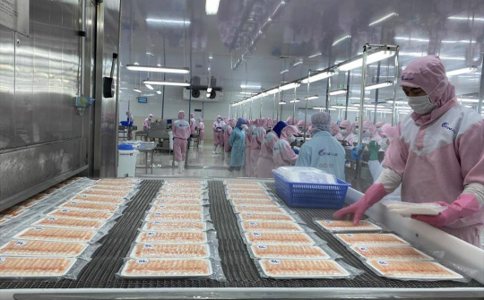 Hướng dẫn đăng ký đối với cơ sở sản xuất thực phẩm nhập khẩu vào Trung Quốc