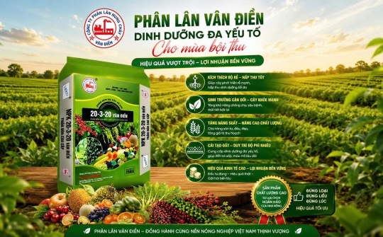Đầu tư phân bón đúng cách, gia tăng giá trị mùa vụ