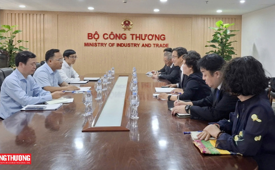 Thứ trưởng Nguyễn Hoàng Long làm việc với lãnh đạo Tập đoàn Idemitsu (Nhật Bản)