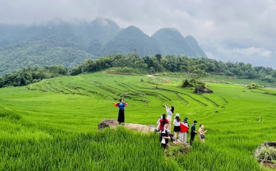 Phát triển du lịch chăm sóc sức khỏe theo hướng xanh và bền vững tại Việt Nam