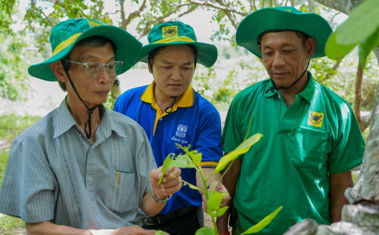Mang giải pháp dinh dưỡng khoa học cho điều Campuchia: Hành trình kiến tạo những mùa vàng thịnh vượng