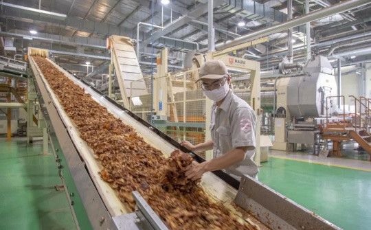 Bộ Công Thương hợp nhất các thông tư quy định chi tiết một số điều của các Nghị định liên quan đến kinh doanh thuốc lá