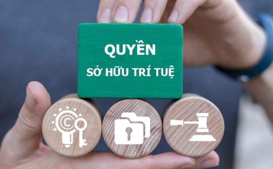 Kết luận của Bộ Chính trị về đẩy mạnh công tác sở hữu trí tuệ phục vụ phát triển kinh tế - xã hội trong tình hình mới