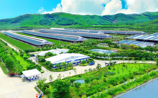 Sản xuất và tiêu dùng bền vững: Từ chính sách đến hành động