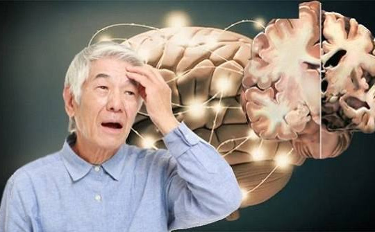 Nghiên cứu tiềm năng ức chế acetylcholinesterase của các dẫn xuất tranilast bằng phương pháp in vitro và in silico