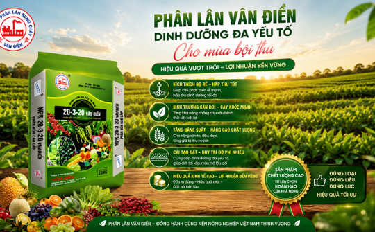 Đầu tư phân bón đúng cách, gia tăng giá trị mùa vụ