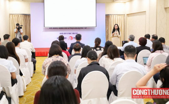 Luật Thương mại điện tử và Nghị định 248: Hoàn thiện hành lang pháp lý, thúc đẩy thị trường số phát triển bền vững