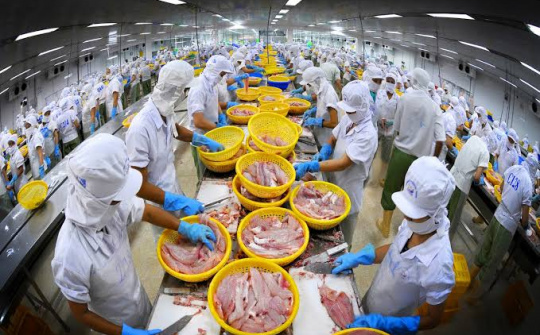 Tính giá thành sản phẩm dựa trên xác định hệ số chi phí và tỷ lệ thu hồi trong doanh nghiệp chế biến thủy sản