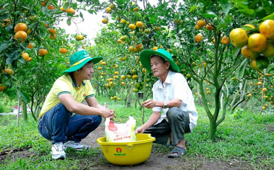 Giá ure toàn cầu dự báo neo cao, Đạm Cà Mau (DCM) có thể lãi gấp đôi năm nay