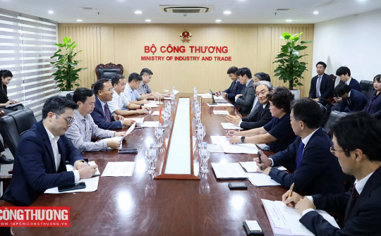 Thứ trưởng Nguyễn Hoàng Long làm việc với  các doanh nghiệp Nhật Bản về LNG