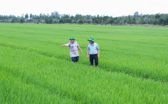 Làm giàu nhờ đổi mới tư duy trên vùng đất phèn