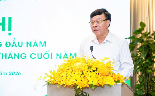 Casumina chủ động nguồn cung nguyên liệu