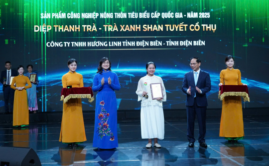 Từ vùng chè mai một đến sản phẩm RISEP cấp quốc gia đầu tiên của Điện Biên