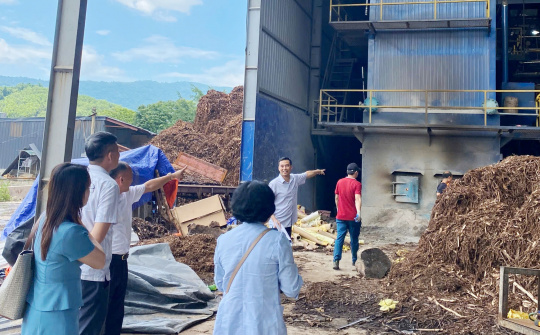 Đòn bẩy khuyến công quốc gia: Chắp cánh cho ngành chế biến lâm sản Thanh Hóa bứt phá