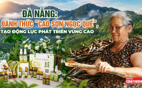 [Emagazine] Đà Nẵng: Đánh thức "cao sơn ngọc quế", tạo động lực phát triển vùng cao