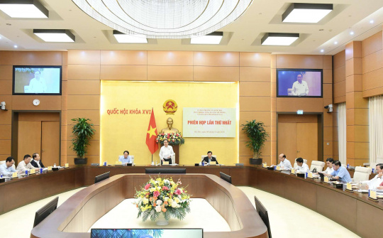 Bảo đảm chất lượng và thời hạn hoàn thành Báo cáo kết quả tổng rà soát hệ thống văn bản quy phạm pháp luật