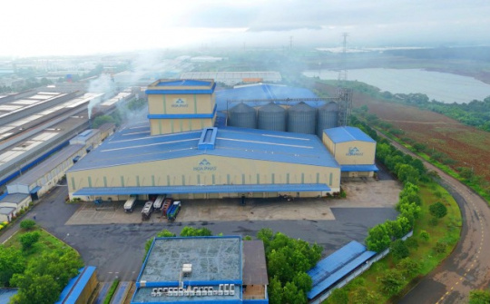 Nông nghiệp Hòa Phát lãi 648 tỷ đồng sau 6 tháng, hoàn thành 64% kế hoạch năm
