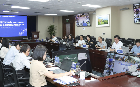 EVN tập huấn chuyên sâu về bảo vệ môi trường cho khối lưới điện