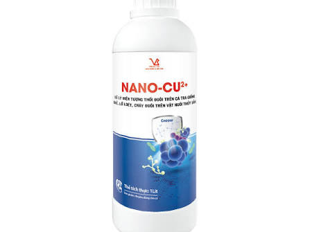 Đặc trưng hóa lý của nanocompozit CuI/Cu2+–TiO2